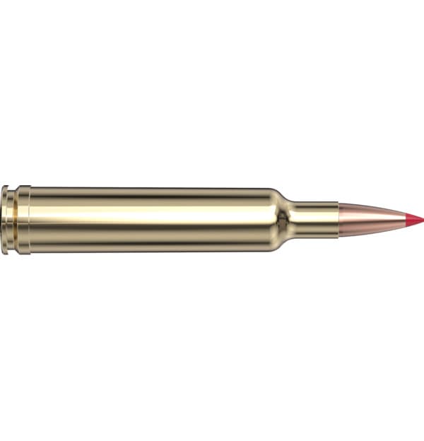 Hornady 257 Wby Mag 110gr ELD-X Precision Hunter Ammo