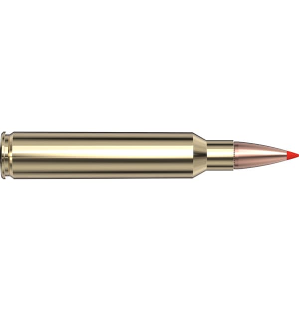 Hornady 300 PRC 165gr SST American Whitetail Tipped Ammo