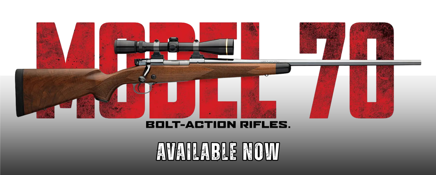 Model 70 Now Available